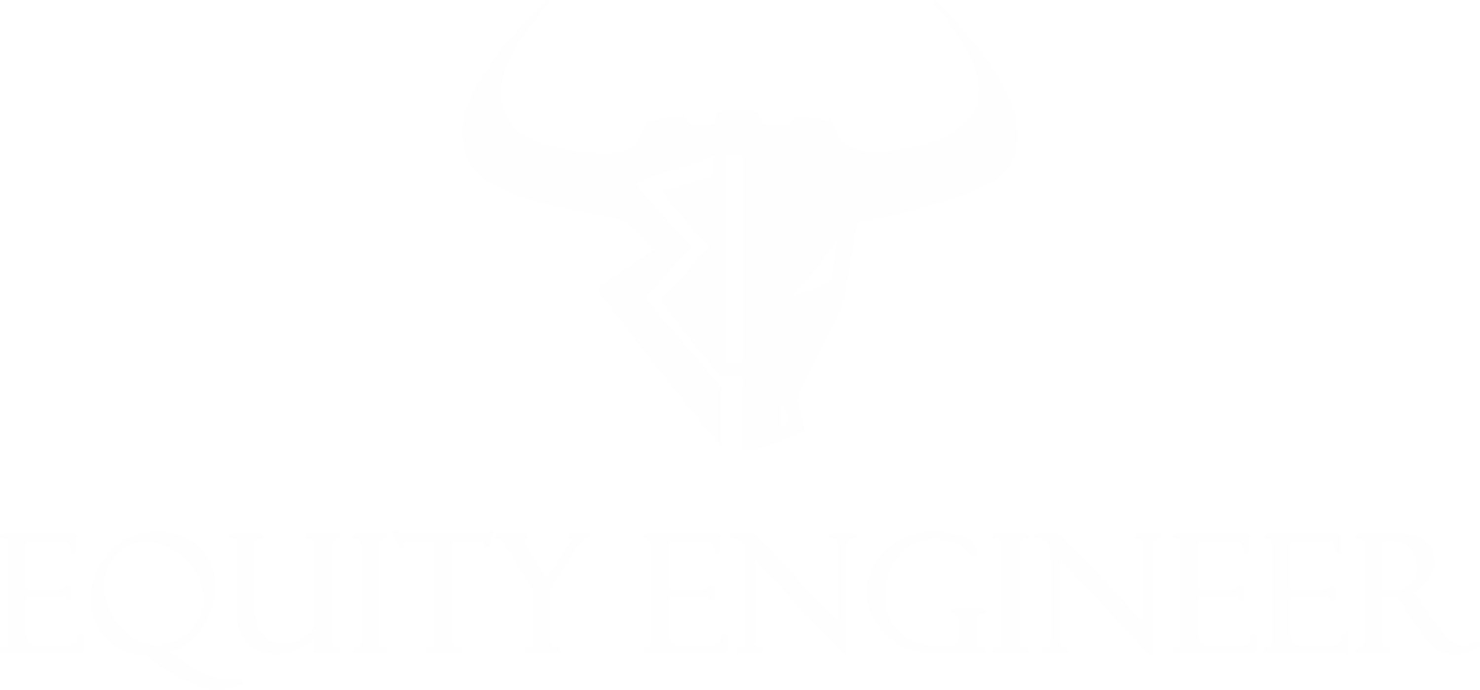 EQUITY ENGINEER